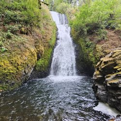 Gray Line of Portland - Pink Trolley Sightseeing - Bridal Veil Falls