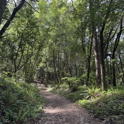 Long Ridge Open Space Preserve - Trail