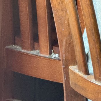 Crockett's 1875 Breakfast Camp - Super dusty chairs "is giving" lack of cleanliness - Breakfast & Brunch Near Me - Gatlinburg, Tennessee Crockett's 1875 Breakfast Camp - Super dusty chairs "is giving" lack of cleanliness - Breakfast & Brunch Near Me - Gatlinburg, Tennessee
