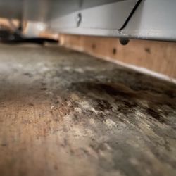 Priceless Home Improvements - Mold due to ductwork/damper damage during siding replacement.