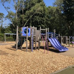 Codimonk Nursery School - The Playground