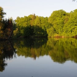 Saaler Mühle
