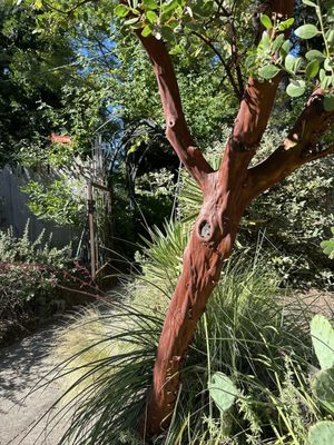 McMenamins St. Johns Theater & Pub by null