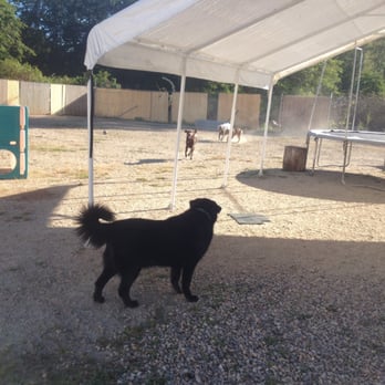 New England Dog Training - Large shaded areas. - Pet Training Near Me - Westport, Massachusetts New England Dog Training - Large shaded areas. - Pet Training Near Me - Westport, Massachusetts