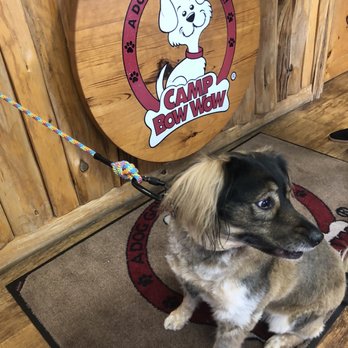 Camp Bow Wow - Pet Groomers Near Me - Greenville, South Carolina