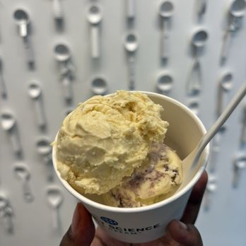 Sweet Science Ice Cream - Ice Cream & Frozen Yogurt Near Me - Edina, Minnesota Sweet Science Ice Cream - Ice Cream & Frozen Yogurt Near Me - Edina, Minnesota