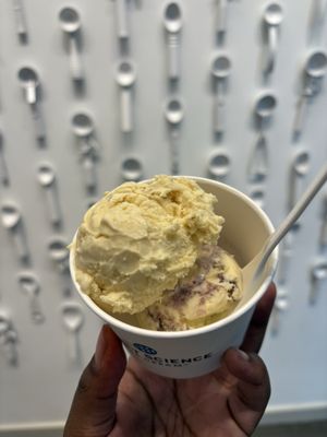 Sweet Science Ice Cream by null Sweet Science Ice Cream by null