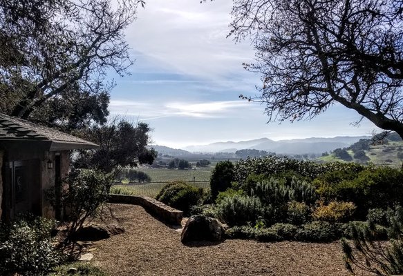 Gargiulo Vineyards by null