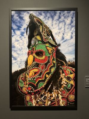 Ogden Museum of Southern Art by null