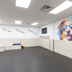 Loving Paws Daycare & Boarding