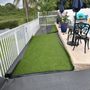 Photo of Lawn Guys Mia