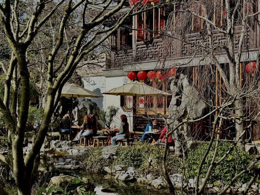 THE TAO OF TEA at Lan Su Chinese Garden by null