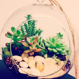 My very first DIY terrarium :) My very first DIY terrarium :)