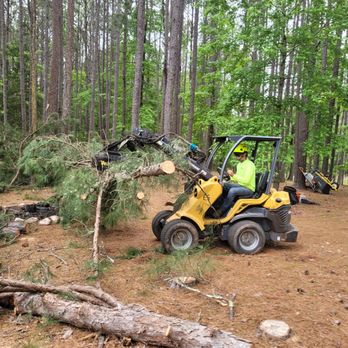Roble Tree Care - a tree being cut by a tractor - Landscaping Near Me - Senoia, Georgia Roble Tree Care - a tree being cut by a tractor - Landscaping Near Me - Senoia, Georgia