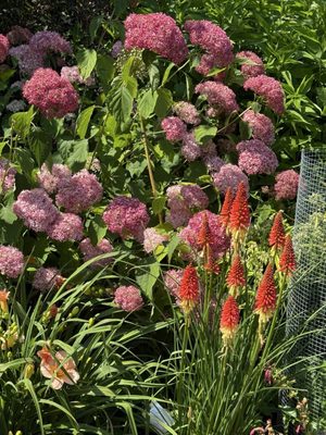 Cornell Botanic Gardens by null