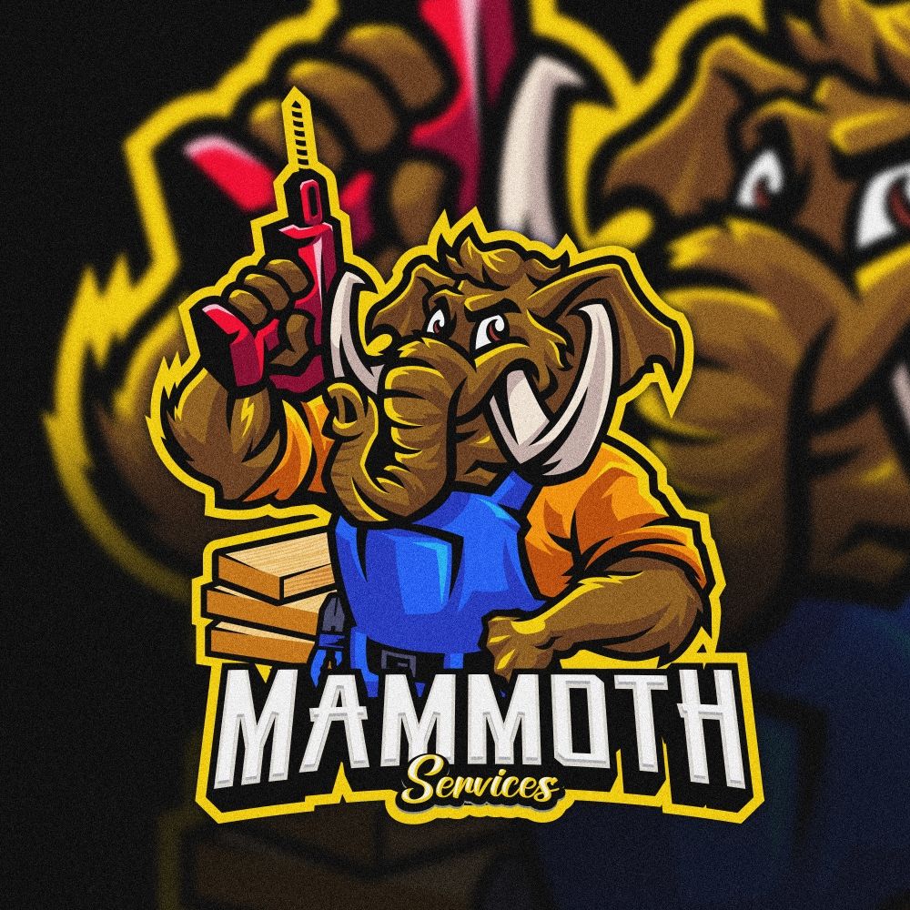 Slide of Mammoth Services