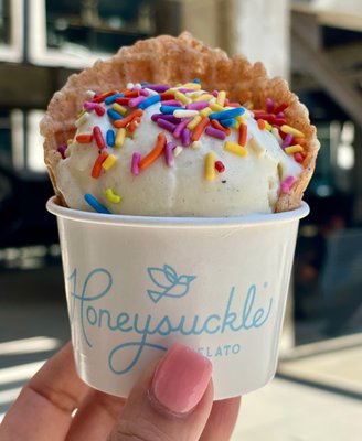 Honeysuckle Gelato Dresden by null