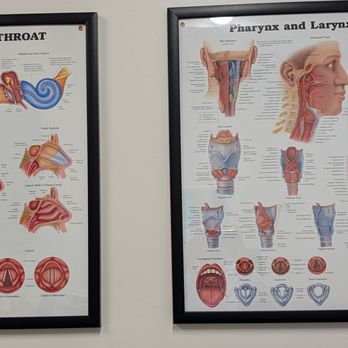 Head and Neck Specialists - In my exam room. - Medical Centers Near Me - Charleston, South Carolina Head and Neck Specialists - In my exam room. - Medical Centers Near Me - Charleston, South Carolina