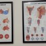 Head and Neck Specialists