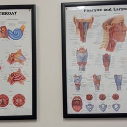 Head and Neck Specialists - In my exam room.