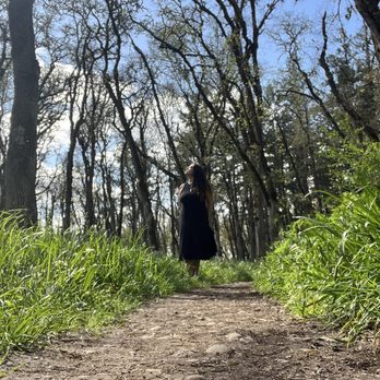 Bush's Pasture Park - Parks Near Me - Salem, Oregon