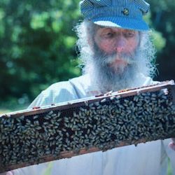 Burt's Bees