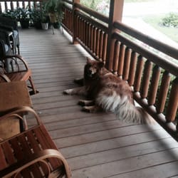 Glade Valley Bed and Breakfast - Hunter
