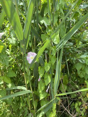 Cape Cod Museum Of Natural History by null