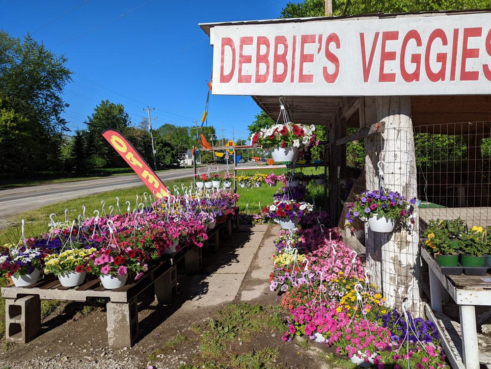 DEBBIES VEGGIES ROTARIUS GREENHOUSES 10246 Dixie Hwy, St Clair, MI Yelp