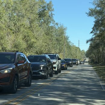 Blue Spring State Park - Line of cars waiting to get in the actual designated line for cars waiting to get in the park after we left the park - Parks Near Me - Orange City, Florida