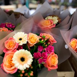 Arena Flowers - Arena Flowers