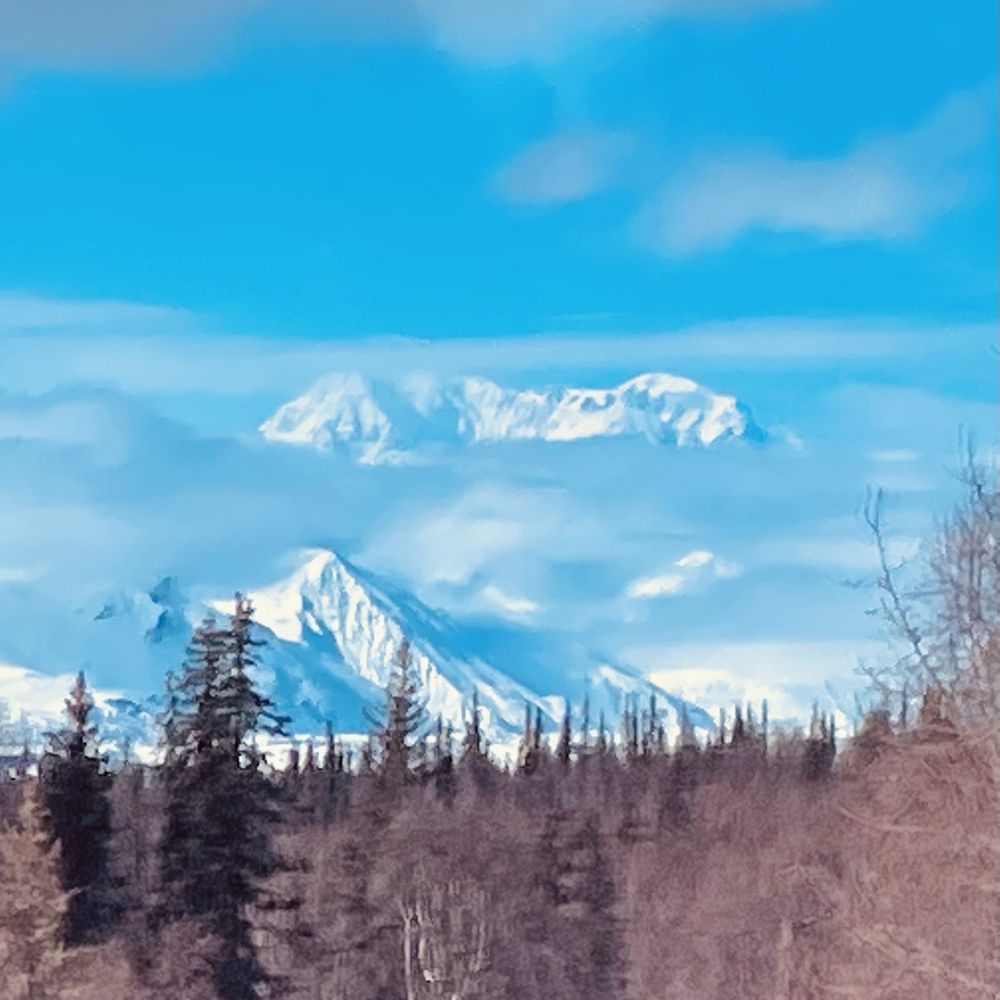 Mt. Denali