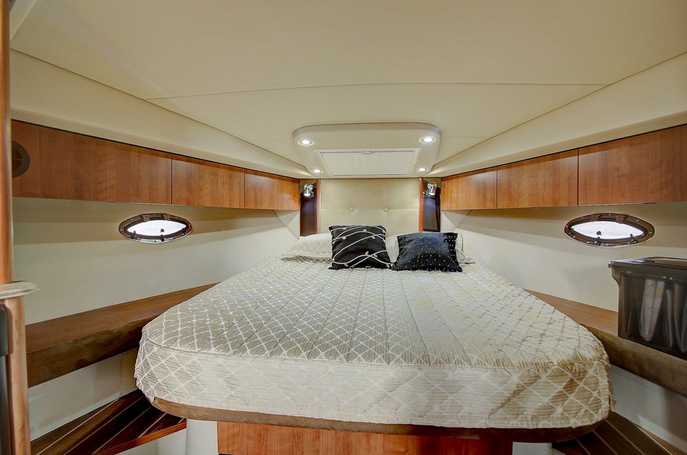Palm Harbor Charters Logo