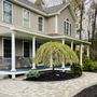Photo of Higher Ground Landscaping