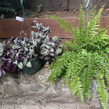 Plant Works - Nurseries & Gardening Near Me - Ben Lomond, California