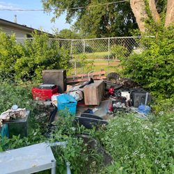 B D Lawn Landscaping