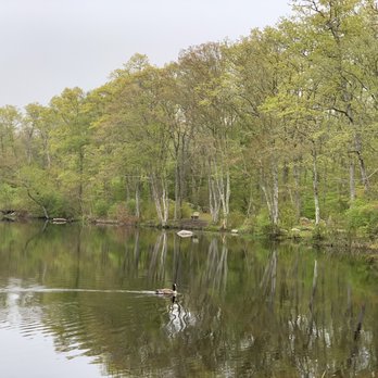 Simmons Mill Pond Management Area - Hiking Near Me - Little Compton, Rhode Island