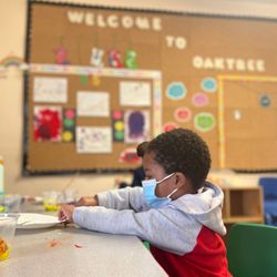 Oak Tree Learning Center - Project-based Curriculum is our specialty