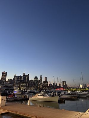 Brooklyn Bridge Park Pier 5 by null