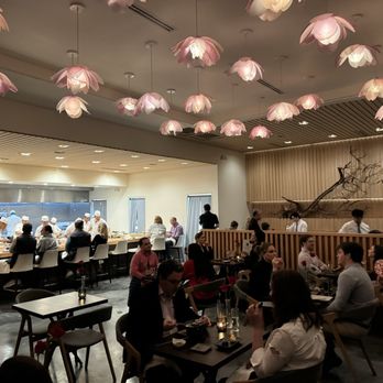 Ume Sushi - Japanese Near Me - Houston, Texas Ume Sushi - Japanese Near Me - Houston, Texas