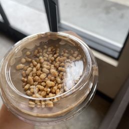 Hojicha Einspanner