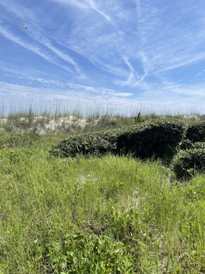 Sea Pines Beach Club by null