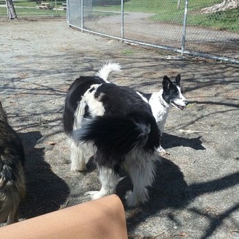 Gilroy Dog Park - They're All Chasing My Baby - Dog Parks Near Me - Gilroy, California Gilroy Dog Park - They're All Chasing My Baby - Dog Parks Near Me - Gilroy, California