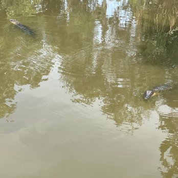 Airboat Adventures - Boat Tours Near Me - Lafitte, Louisiana Airboat Adventures - Boat Tours Near Me - Lafitte, Louisiana