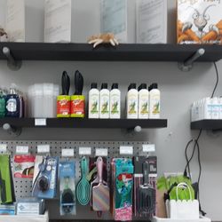 Lice Clinics of Birmingham - Can you spot my favorite book?