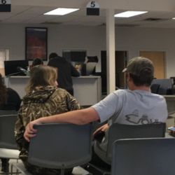 Drivers License Division - We fell in love in a hopeless place.