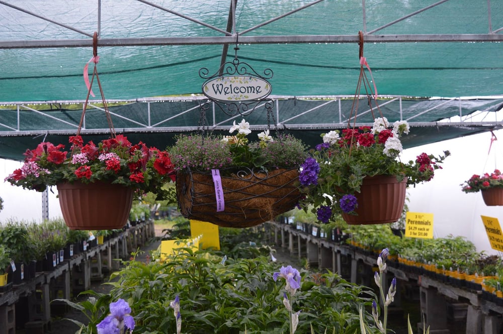 JOHN’S GARDEN CENTER Updated October 2024 890 Hillsborough Road