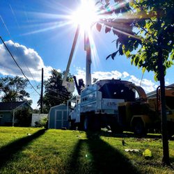 Fox Valley Tree Care & Landscaping