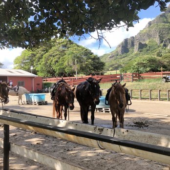 Kualoa Ranch - Tours Near Me - Kaneohe, Hawaii