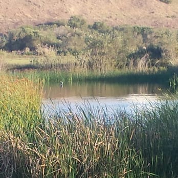 Ballona Wetlands - Hiking Near Me - Playa Del Rey, California Ballona Wetlands - Hiking Near Me - Playa Del Rey, California